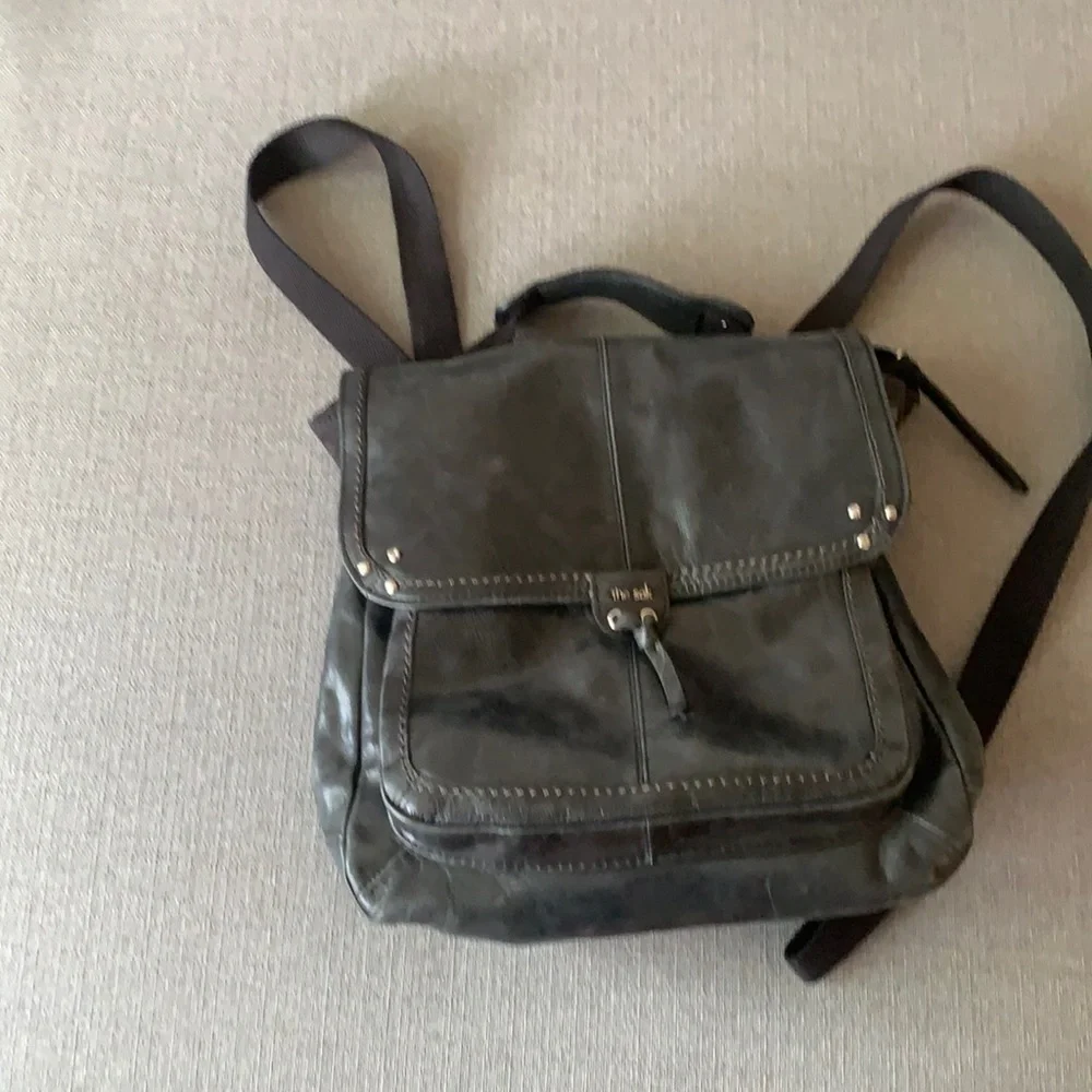 The Sak leather bag